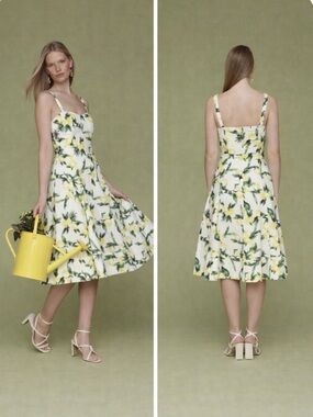 Avec Les Filles Lemon Dress Print Sweetheart Midi Dress Garden Girl  NWT Sz 10